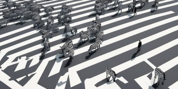 Bankruptcy Options: Debt Relief Guide for Chapter 7 & 13 - Cover Image