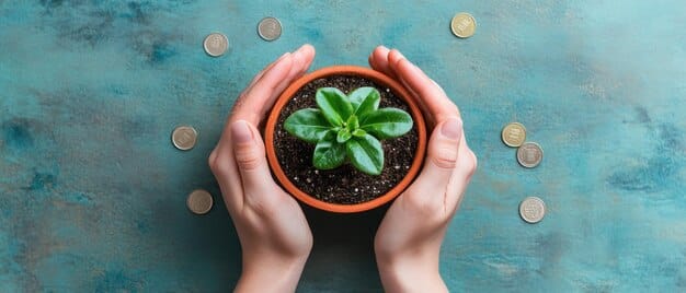 A person's hands holding a small plant sprouting from coins, symbolizing financial growth and a new beginning after overcoming debt. The background is blurred, focusing on the hopeful symbolism.