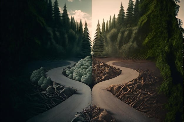 A split image showing two distinct pathways on a road, one labeled 'Chapter 7' and the other 'Chapter 13', to symbolize the fork in the road for debt relief.